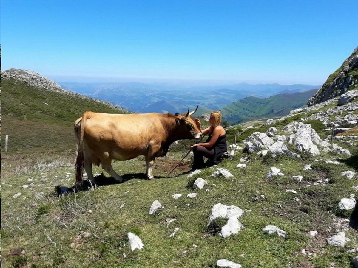 Quintana de SobaCabana Val Del Mazo别墅 外观 照片